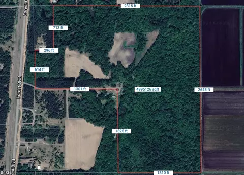 428 Nn Forest Blvd, Harris, MN 55032