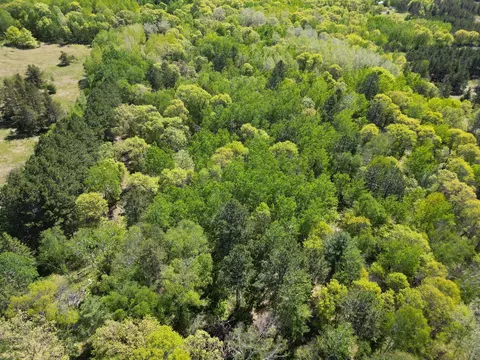 tbd County 2, Nevis, MN 56467 photo 6