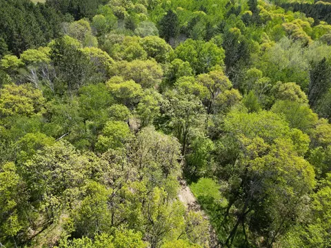 tbd County 2, Nevis, MN 56467 photo 9