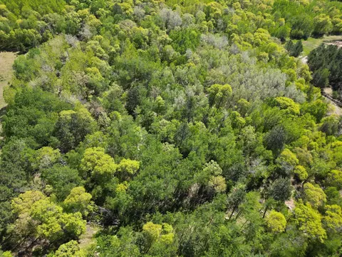tbd County 2, Nevis, MN 56467 photo 7