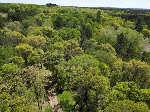 tbd County 2, Nevis, MN 56467 photo 3