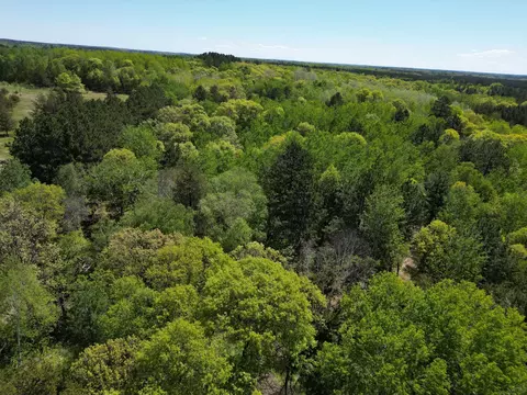 tbd County 2, Nevis, MN 56467 photo 11