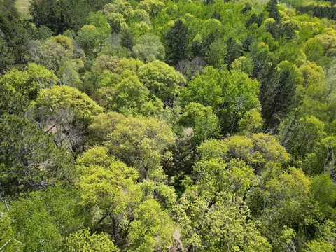 tbd County 2, Nevis, MN 56467 photo 10