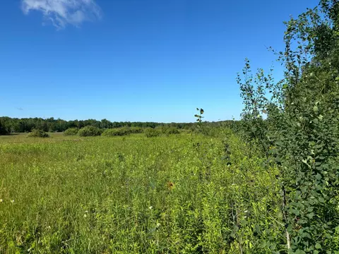 Nnn 470th Street, Palisade, MN 56469