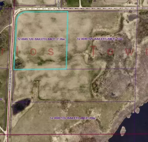 lot1 Buckskin Rd NE, Carlos, MN 56319