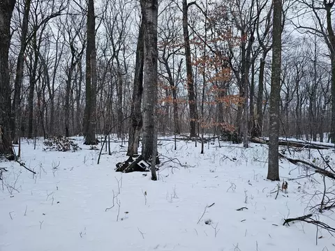 284 Nn 380th St E, Dent, MN 56528 photo 9