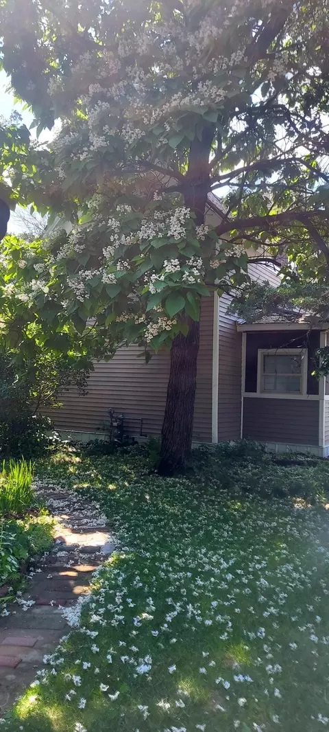 821 3rd Ave NW, Faribault, MN 55021 photo 47