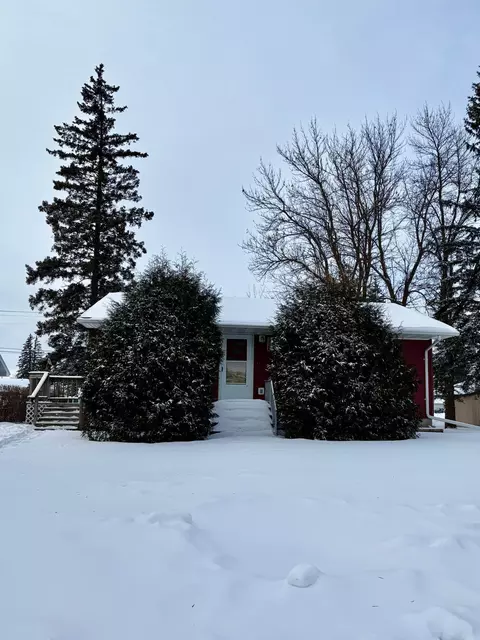 113 3rd Ave NW, Baudette, MN 56623