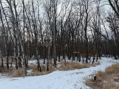tbd Csah 20, Paynesville, MN 56362