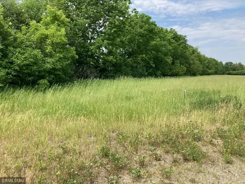 Parcel B & C 306th Street, Florence Twp, MN 55026