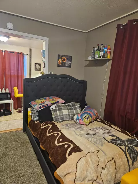 314 E Cherry St, Mankato, MN 56001 photo 7