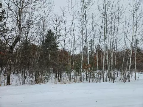 tbd Edgewood Dr SE, Bemidji, MN 56601