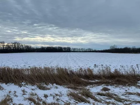Nnn 75th Street Ne, Oak Park, MN 56357