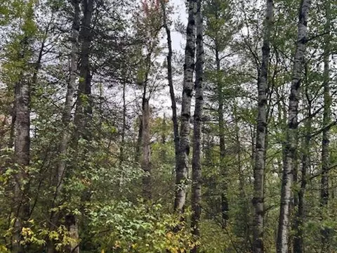 Xx3x Port Wing Line Road, Orienta Twp, WI 54865