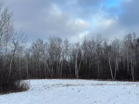34491 Partridge Dr, Askov, MN 55704