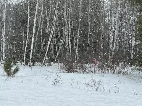 lot1 N Shore Dr, Iron River, WI 54847