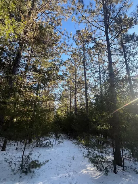 Nnnnn Black Brook Road, Webster, WI 54893