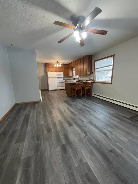 405 Ward St, Alberta, MN 56207 photo 8