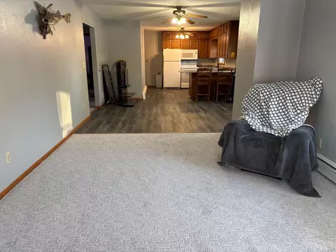 405 Ward St, Alberta, MN 56207 photo 10