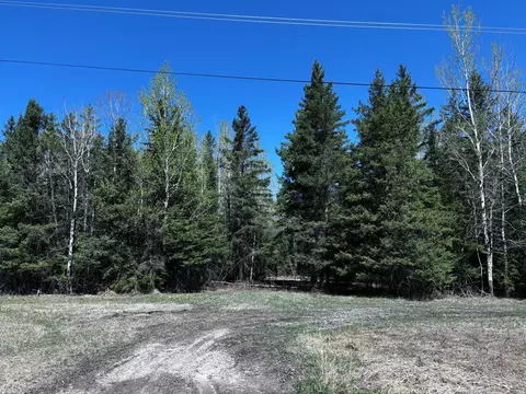 tbd Town Road 286, International Falls, MN 56649
