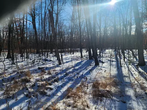 00 4 58, Maple Plain Twp, WI 54829 photo 3