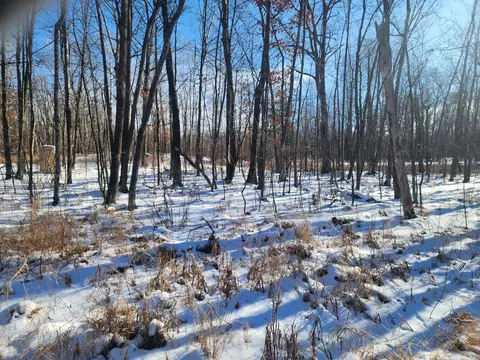 00 4 58, Maple Plain Twp, WI 54829 photo 2