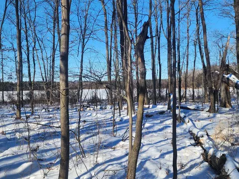 00 4 58, Maple Plain Twp, WI 54829 photo 4
