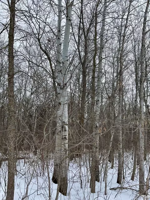 0 230th Ave, Mahnomen, MN 56557 photo 6