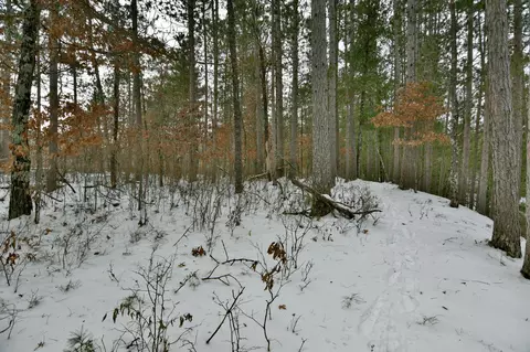 9300 Chipmunk Trail, Trego, WI 54888 photo 8