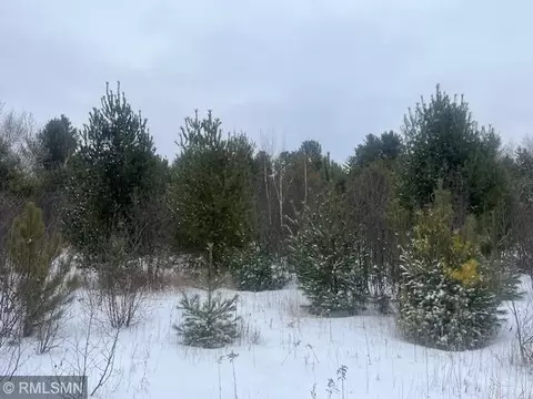 tbd Onigum Rd NW, Walker, MN 56484