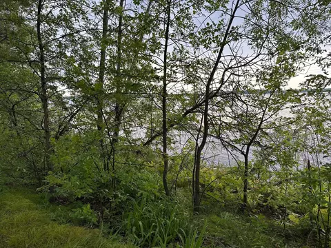 View/Area - 51992 209th Pl, Mcgregor, MN 55760 photo 1 of 11