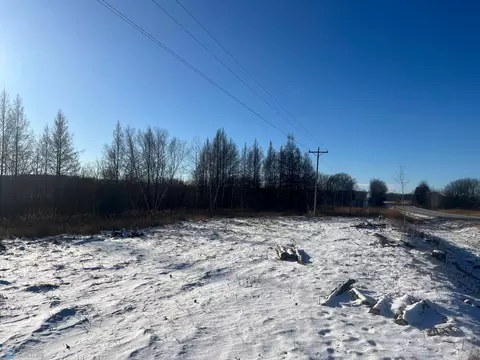 tbd Highway 210, Staples Twp, MN 56479
