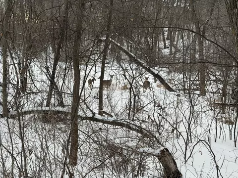 Other - 7641 Long Lake Rd, Willmar, MN 56201 photo 5 of 5