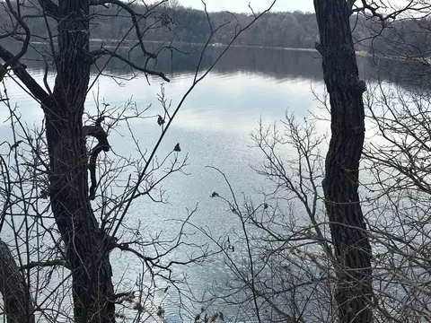 View/Area - 7641 Long Lake Rd, Willmar, MN 56201 photo 4 of 4