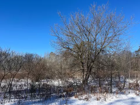 tbd Fox Run Ln, Deerwood, MN 56444