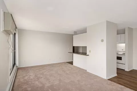 4110 Rahn Rd #212, Eagan, MN 55122 photo 12
