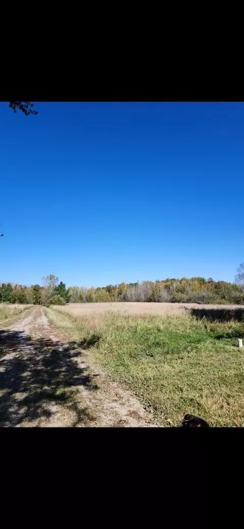 39079 540th Ln, Palisade, MN 56469