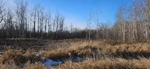 Parcel 3 Willow Road Ne, Carlos, MN 56319