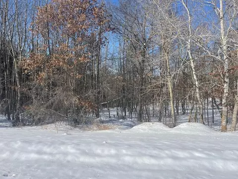 Nnn Charles Lane, Park Rapids, MN 56470