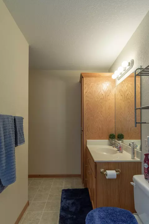 Bath - 8191 Hinckley Ct, Baxter, MN 56425 photo 5 of 7