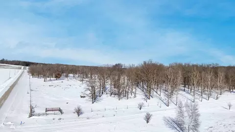 41 Acres Red Oak Rd, Staples, MN 56479 photo 5