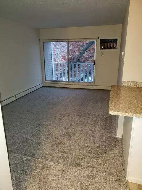 1601 N Innsbruck Dr #314, Fridley, MN 55432