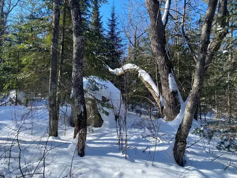 tbd Deep Woods Rd, Orr, MN 55771 photo 82