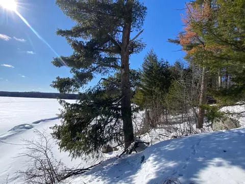 tbd Deep Woods Rd, Orr, MN 55771 photo 16