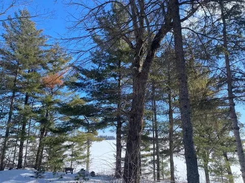 tbd Deep Woods Rd, Orr, MN 55771 photo 23