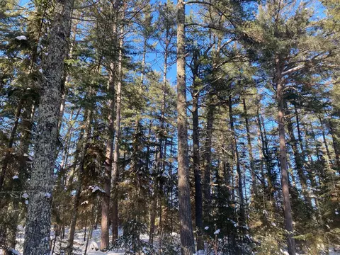 tbd Deep Woods Rd, Orr, MN 55771 photo 76