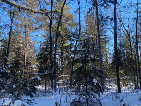 tbd Deep Woods Rd, Orr, MN 55771 photo 78