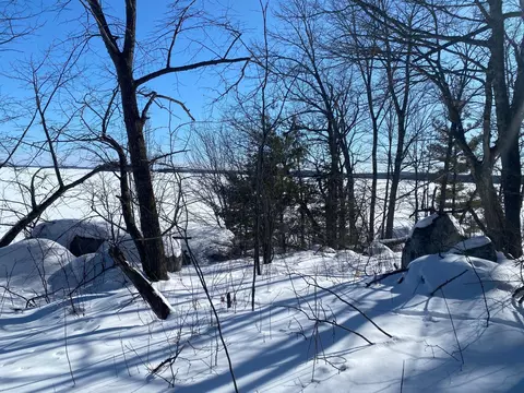 tbd Deep Woods Rd, Orr, MN 55771 photo 49
