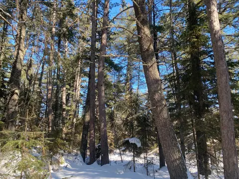 tbd Deep Woods Rd, Orr, MN 55771 photo 84