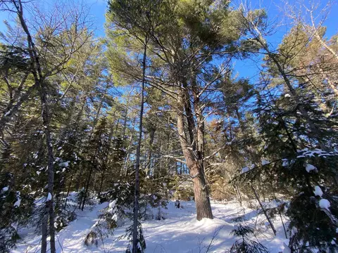 tbd Deep Woods Rd, Orr, MN 55771 photo 75